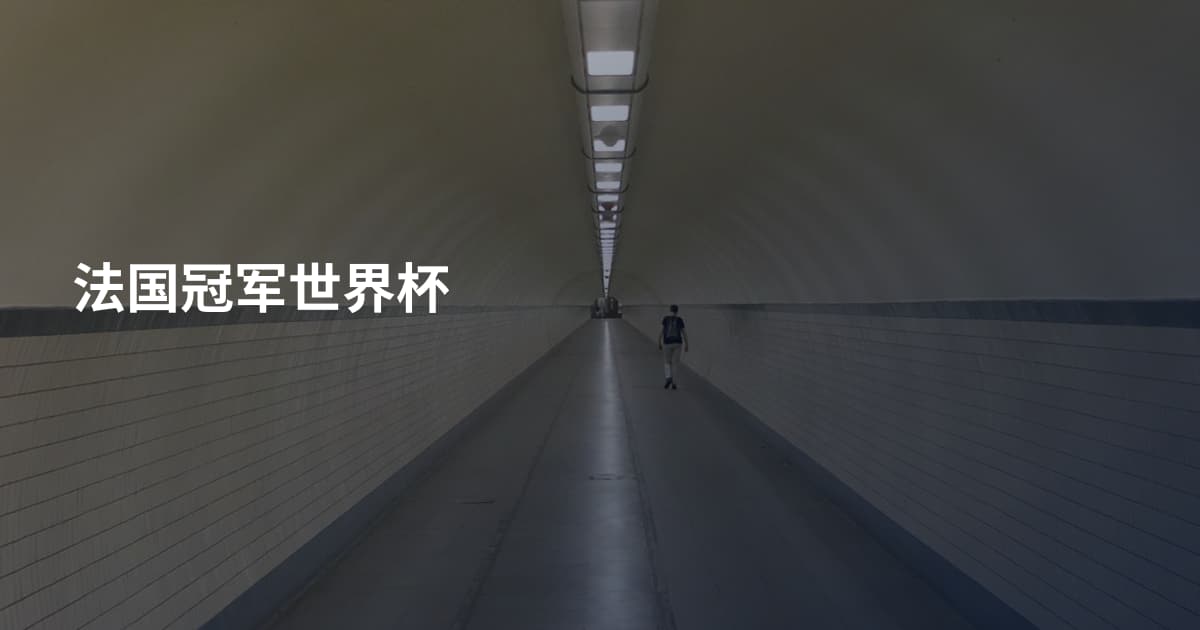 法国冠军世界杯