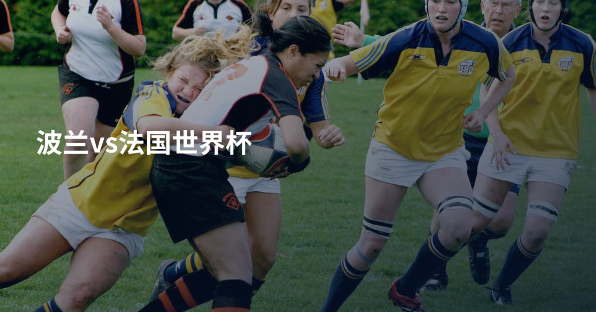 波兰vs法国世界杯