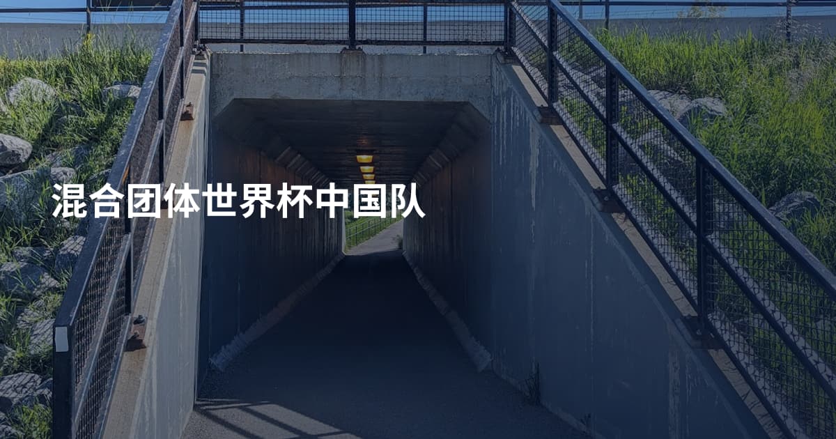 混合团体世界杯中国队