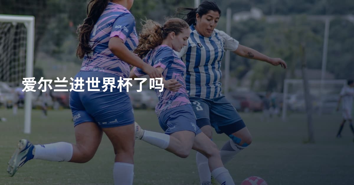 爱尔兰进世界杯了吗