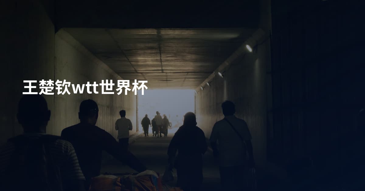 王楚钦wtt世界杯