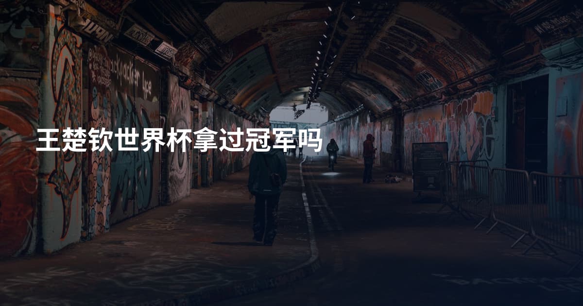 王楚钦世界杯拿过冠军吗