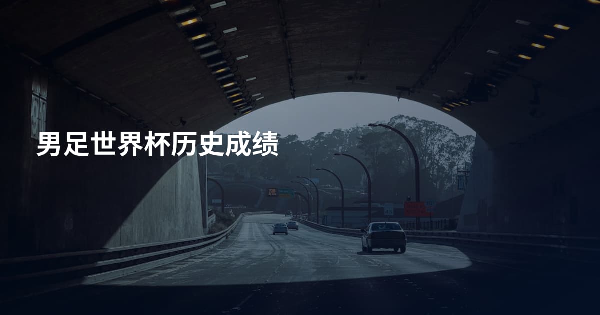 男足世界杯历史成绩