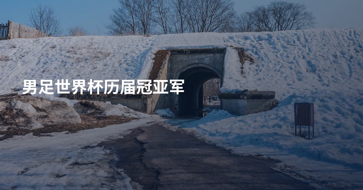 男足世界杯历届冠亚军