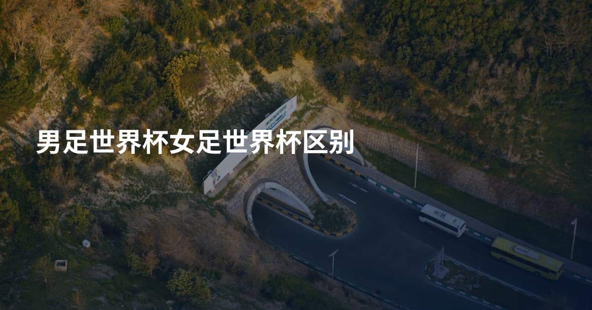 男足世界杯女足世界杯区别