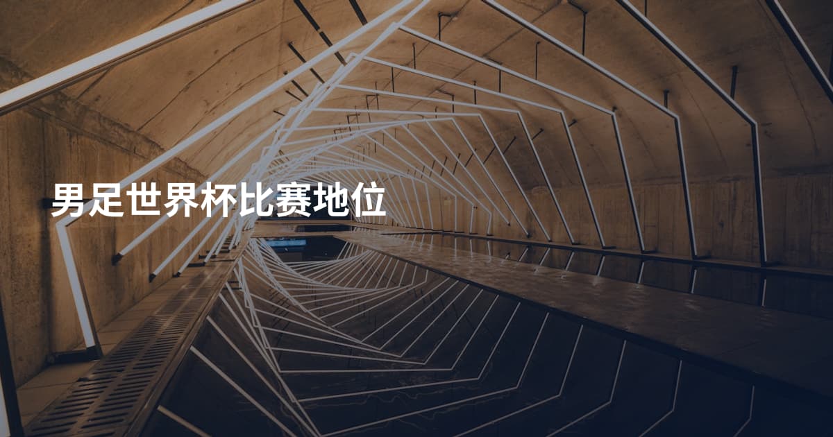 男足世界杯比赛地位