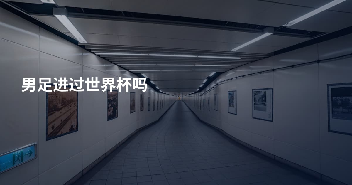 男足进过世界杯吗
