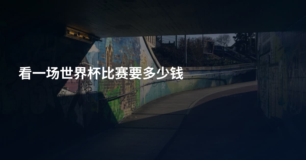 看一场世界杯比赛要多少钱