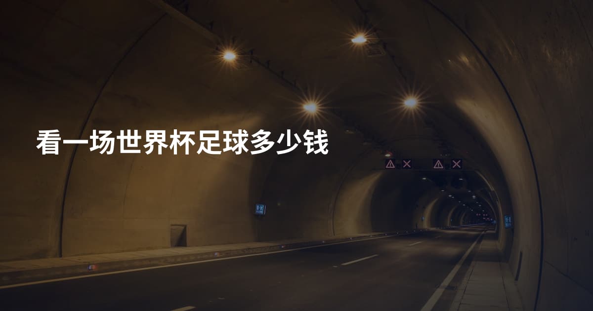 看一场世界杯足球多少钱