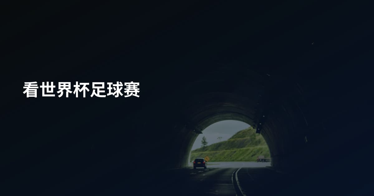 看世界杯足球赛