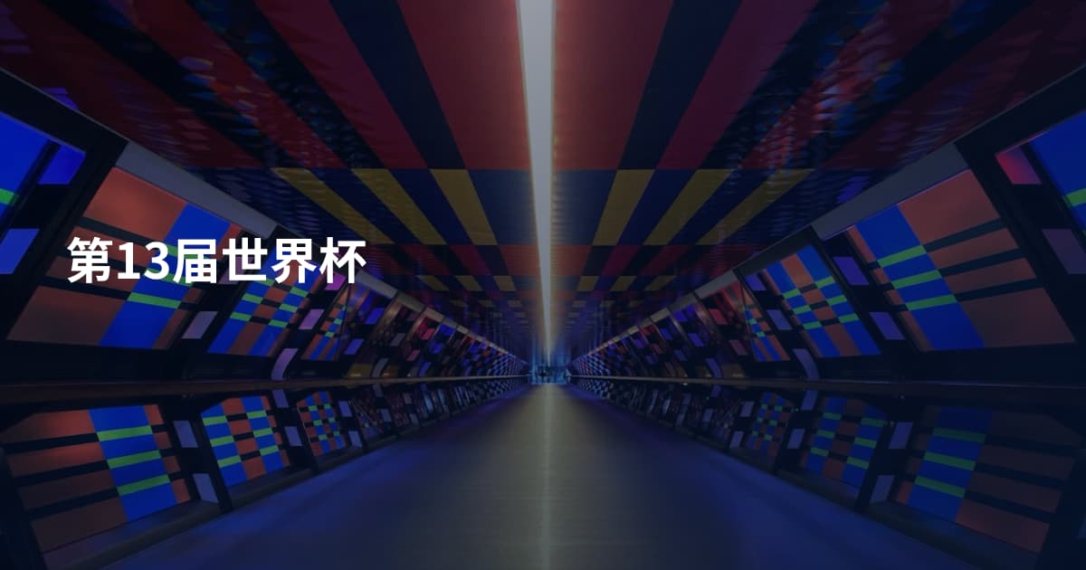 第13届世界杯
