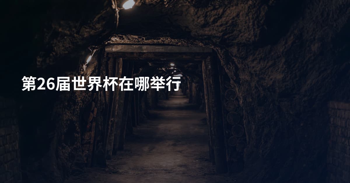第26届世界杯在哪举行