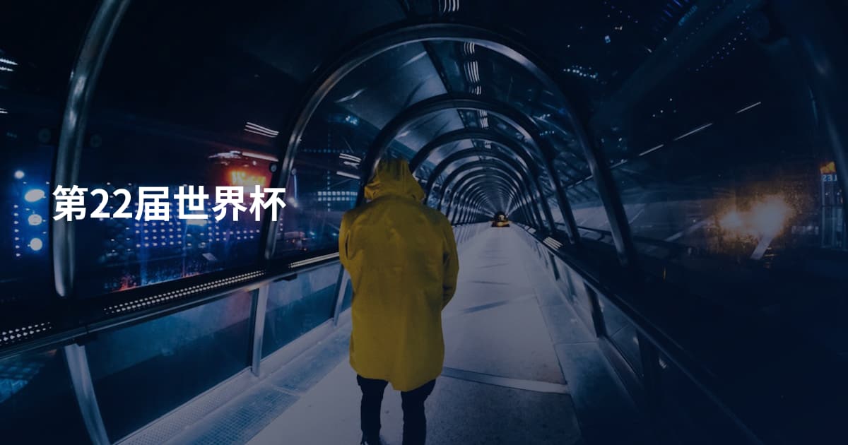 第22届世界杯