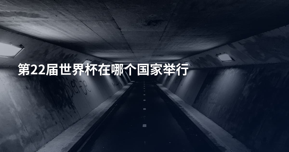 第22届世界杯在哪个国家举行