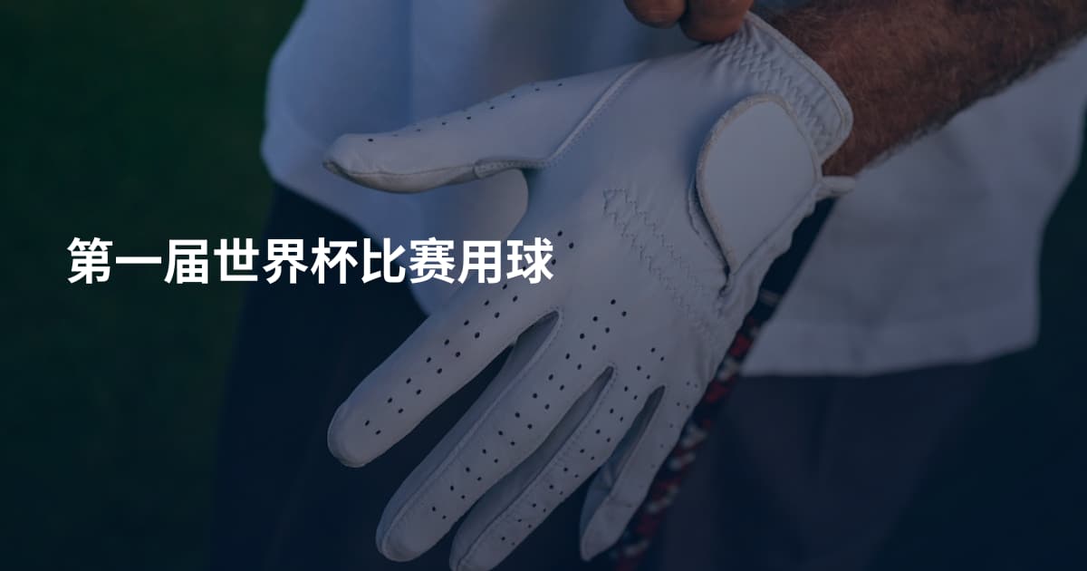 第一届世界杯比赛用球