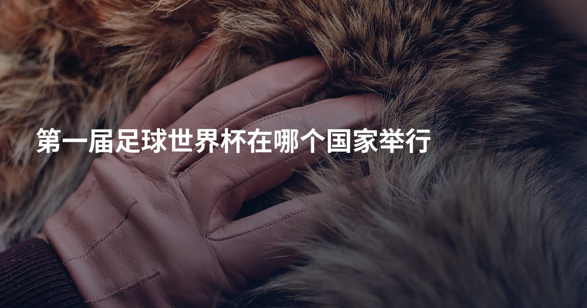 第一届足球世界杯在哪个国家举行