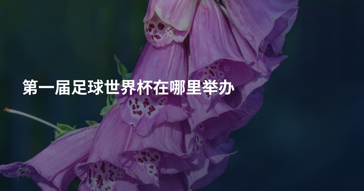 第一届足球世界杯在哪里举办