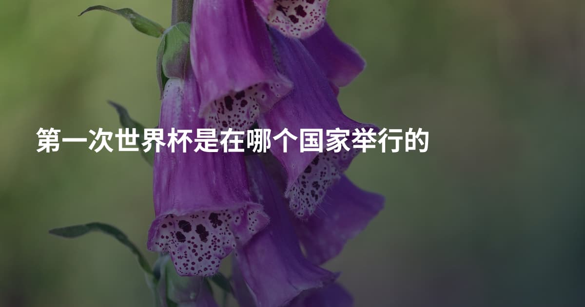第一次世界杯是在哪个国家举行的