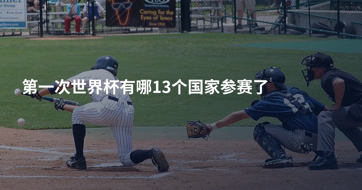 第一次世界杯有哪13个国家参赛了