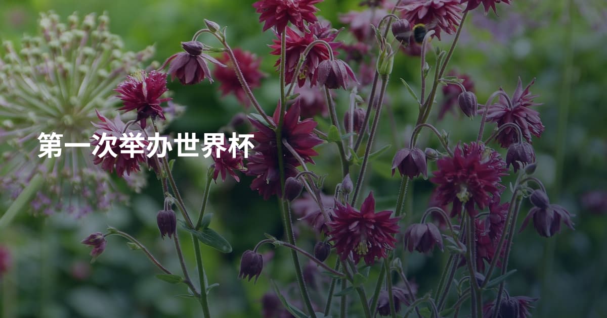 第一次举办世界杯