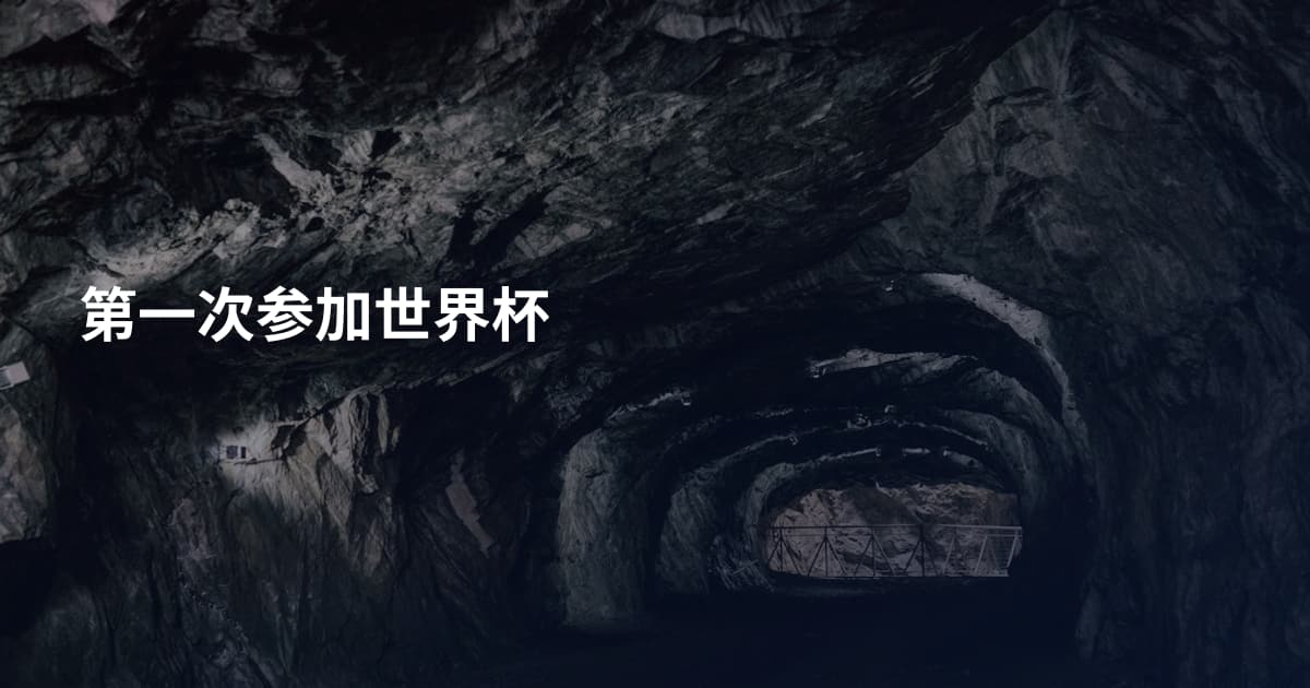 第一次参加世界杯