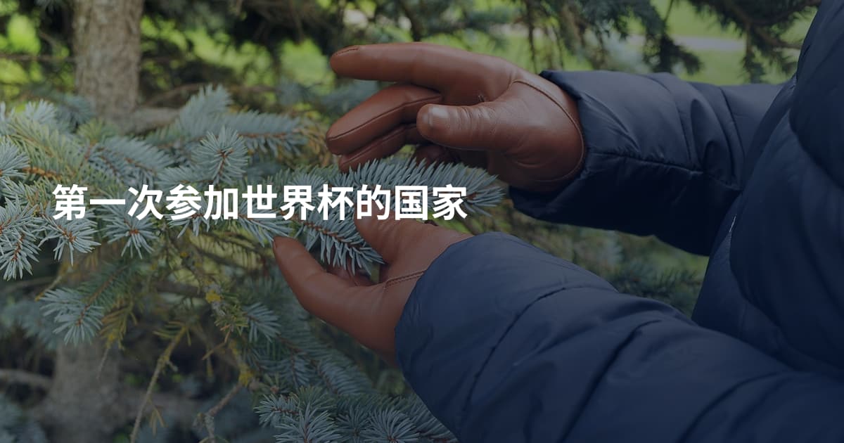 第一次参加世界杯的国家