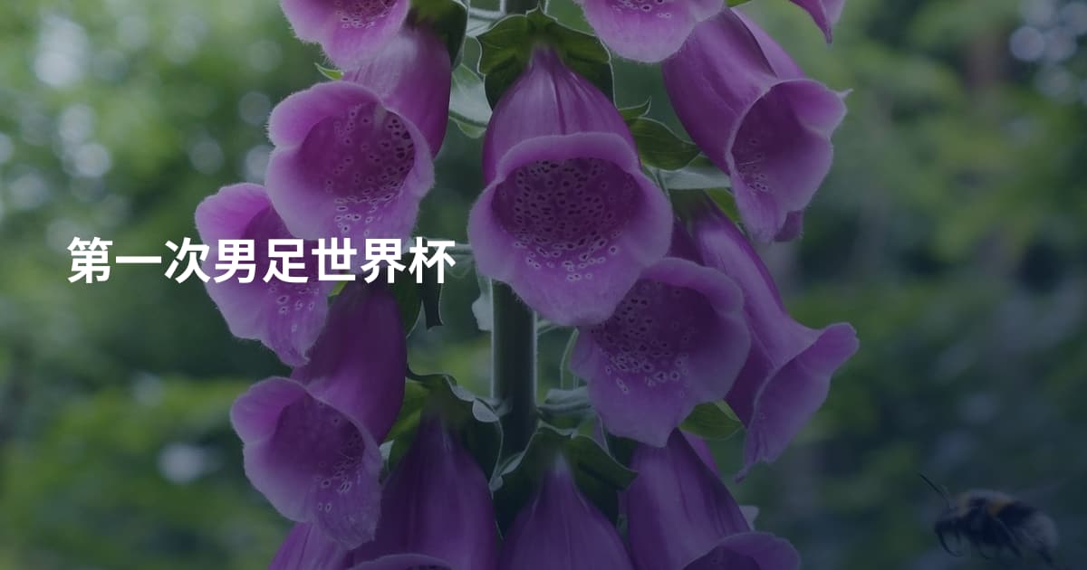 第一次男足世界杯