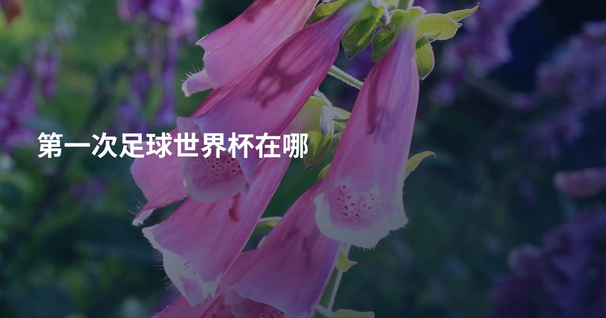 第一次足球世界杯在哪