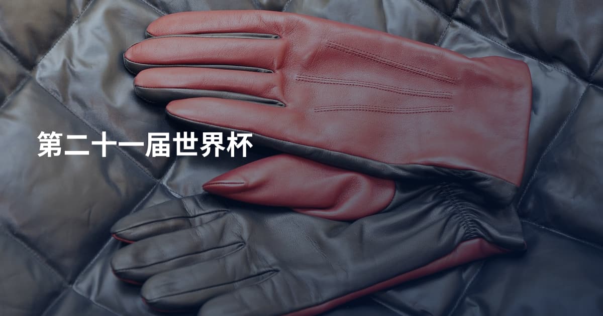 第二十一届世界杯
