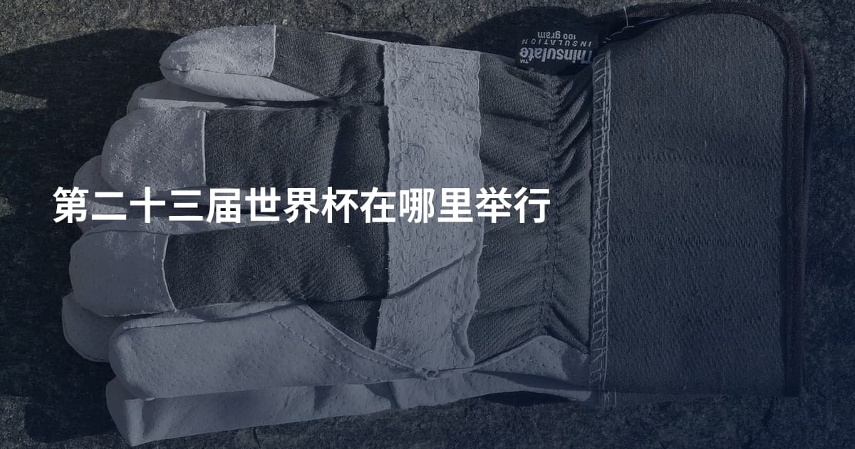 第二十三届世界杯在哪里举行