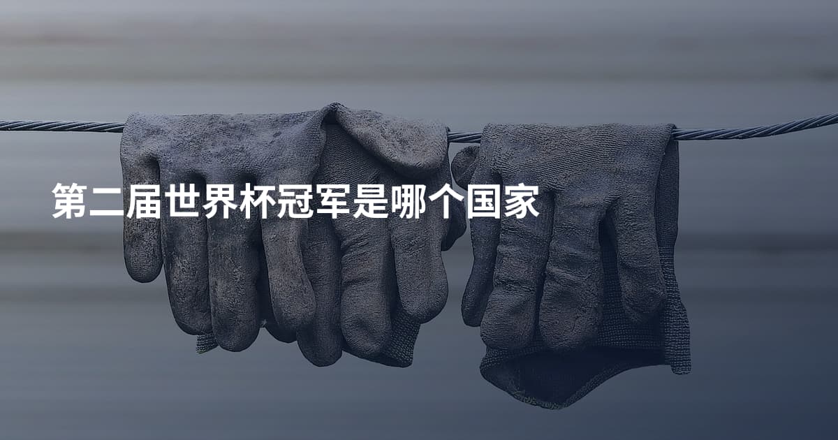 第二届世界杯冠军是哪个国家