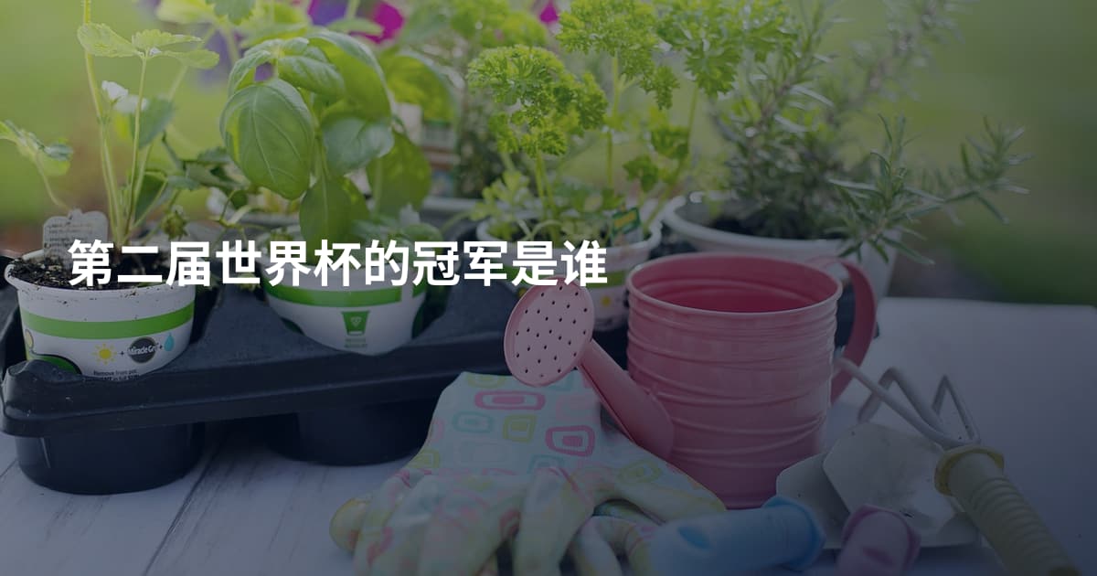 第二届世界杯的冠军是谁