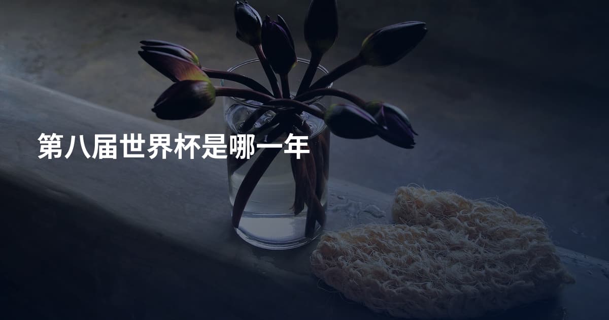第八届世界杯是哪一年
