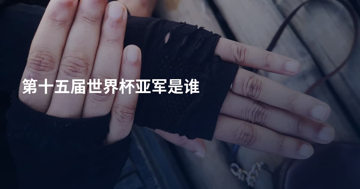 第十五届世界杯亚军是谁