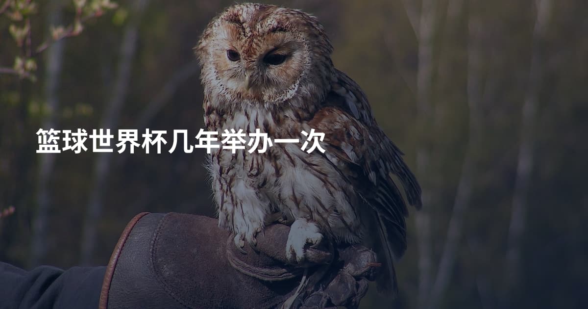 篮球世界杯几年举办一次