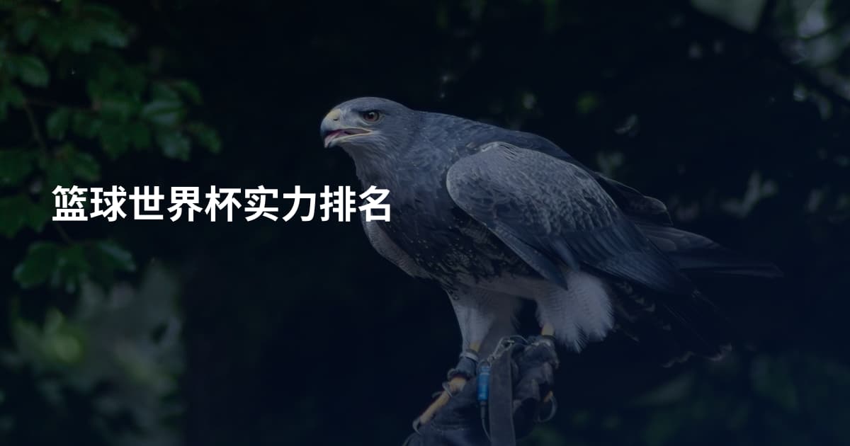 篮球世界杯实力排名