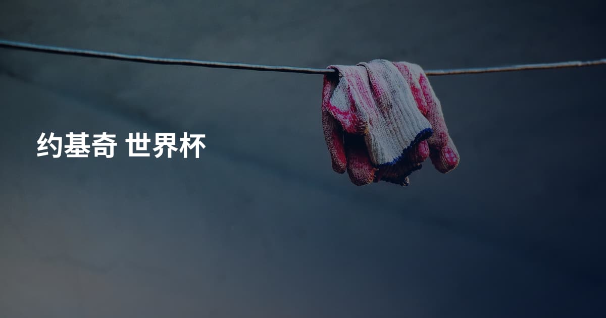 约基奇 世界杯
