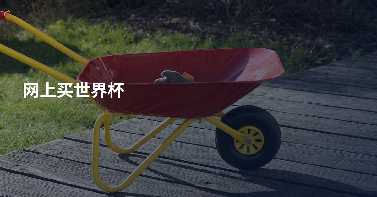 网上买世界杯