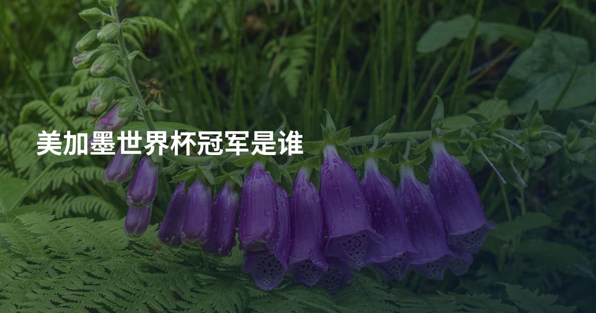美加墨世界杯冠军是谁