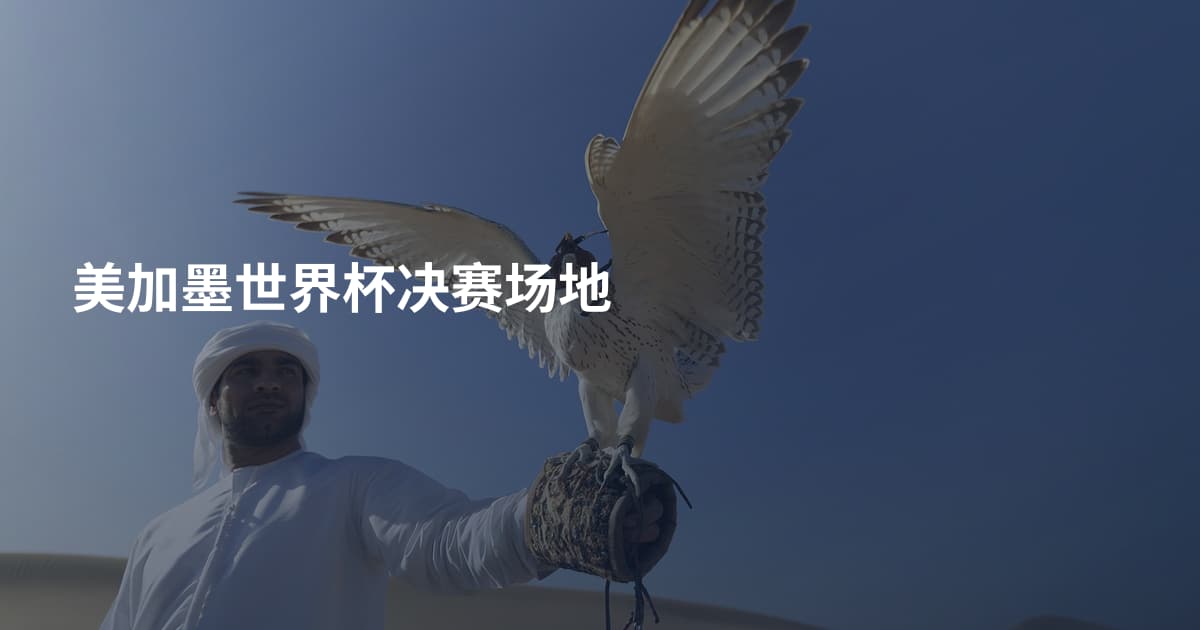 美加墨世界杯决赛场地