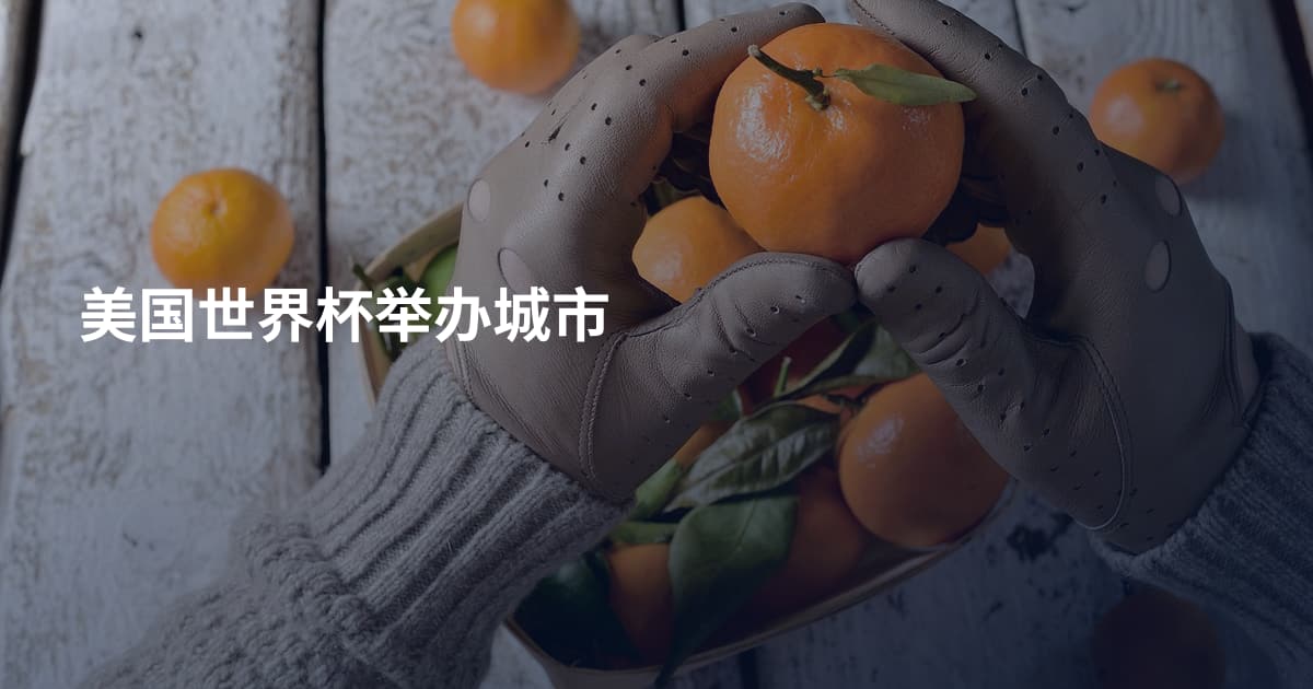 美国世界杯举办城市