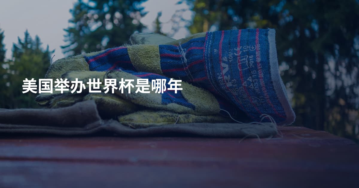 美国举办世界杯是哪年