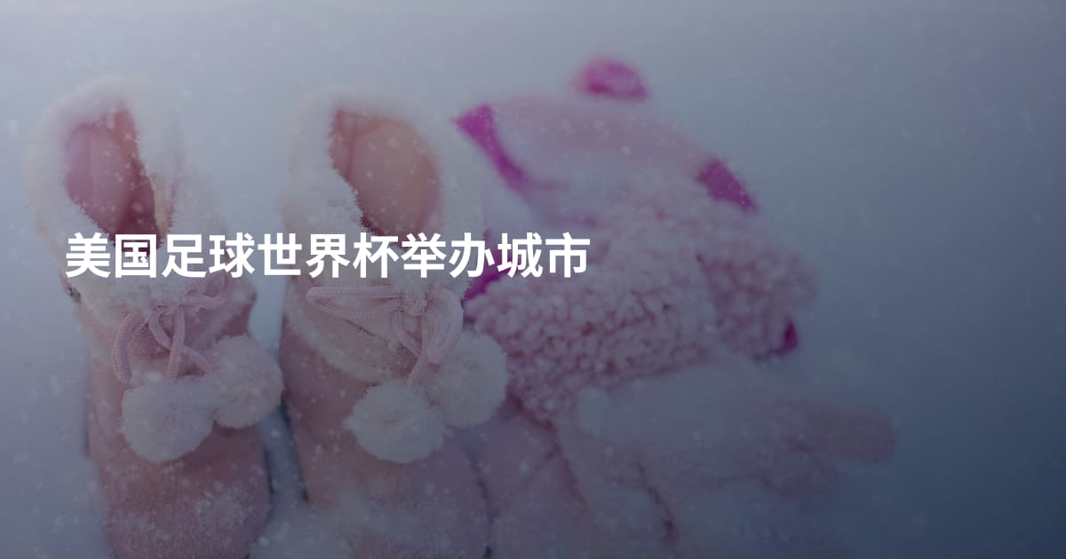 美国足球世界杯举办城市