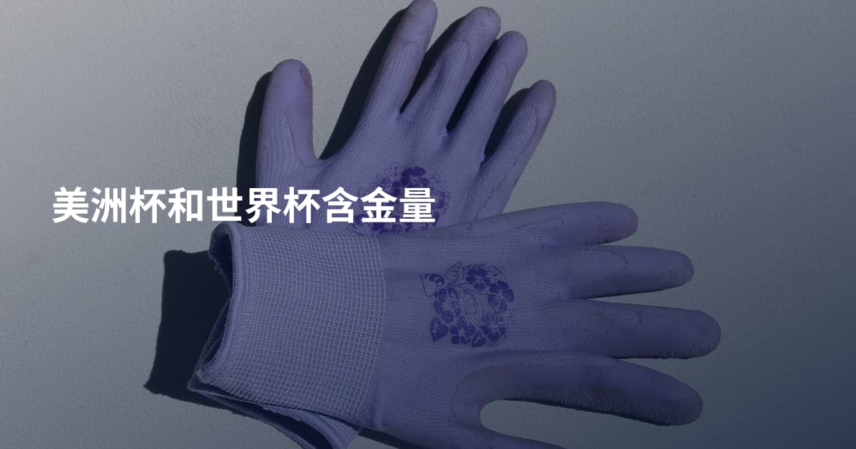 美洲杯和世界杯含金量