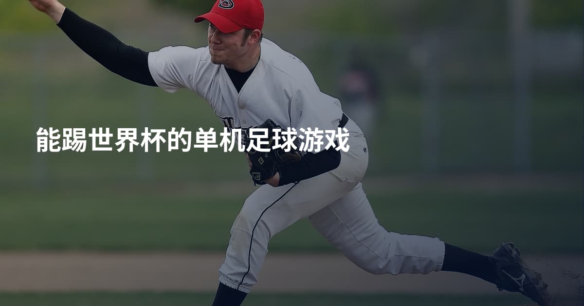 能踢世界杯的单机足球游戏