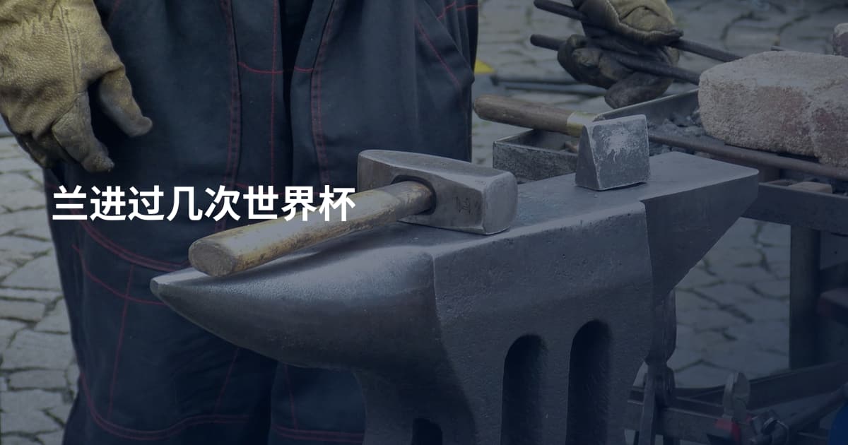 兰进过几次世界杯