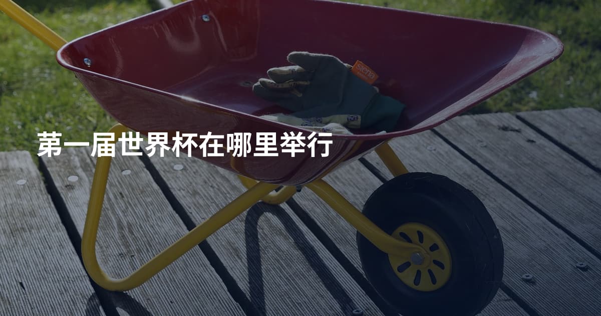 苐一届世界杯在哪里举行