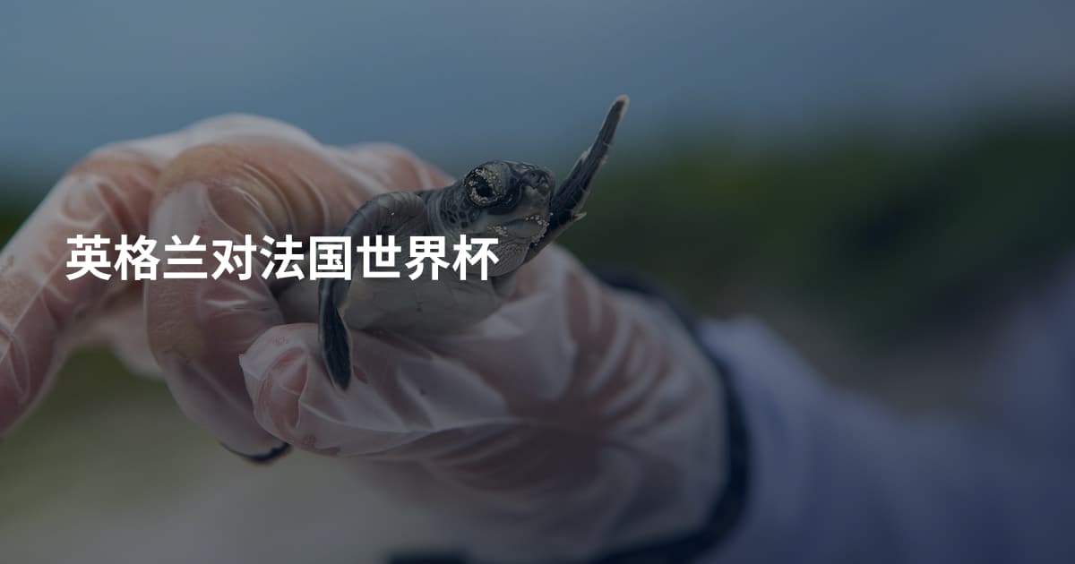 英格兰对法国世界杯