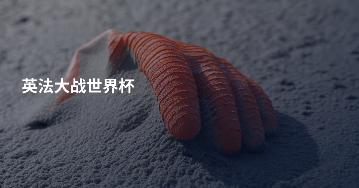 英法大战世界杯