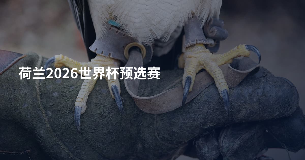 荷兰2026世界杯预选赛